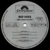 Bee Gees Story