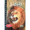Vivre avec les lions