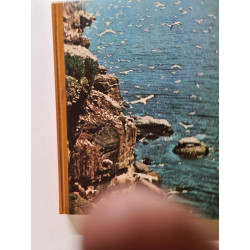 La vie fantastique des îles et des océans