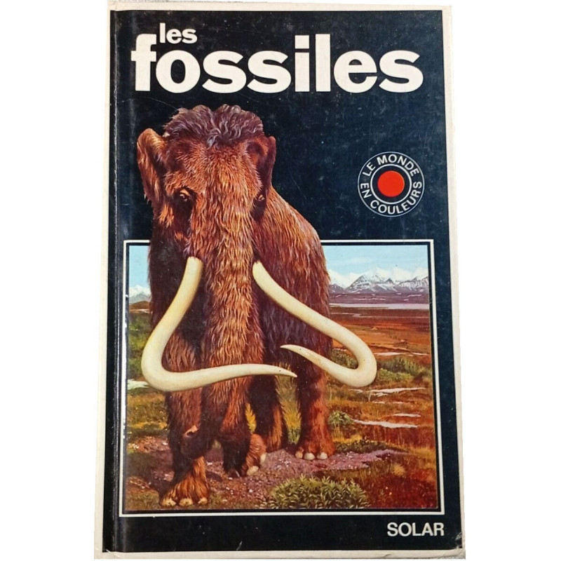 Les fossiles
