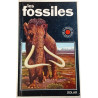 Les fossiles