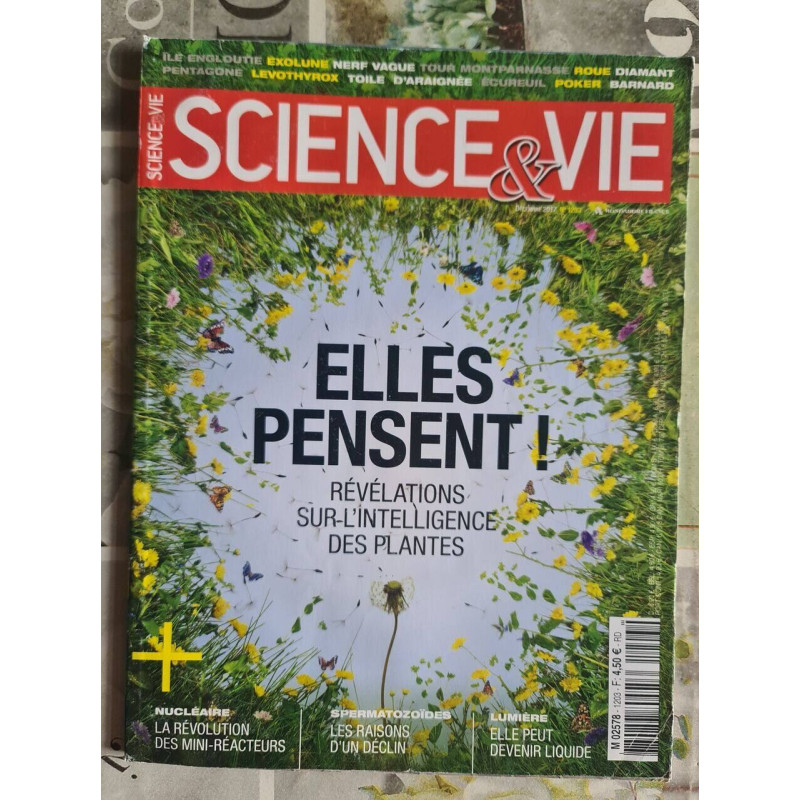 SElles pensent ! Science et Vie nº1203