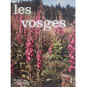 Les Vosges mars et mercure