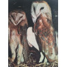 Les oiseaux de Lorraine