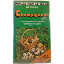 Champignons
