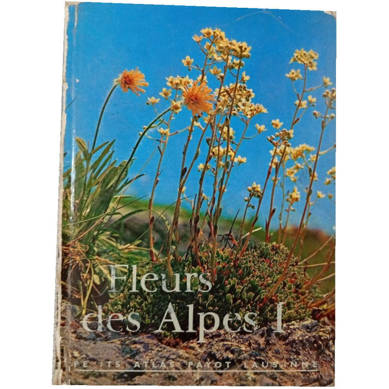 Fleurs des Alpes I