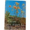 Fleurs des Alpes I