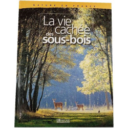 La vie cachée des sous-bois