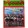 Fripounet n°33