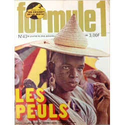 Formule 1 n°43