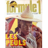 Formule 1 n°43