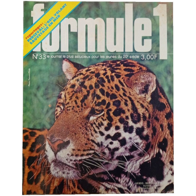 Formule 1 n°33