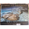 Libres et sauvages
