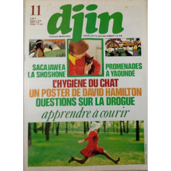 Djin n°11