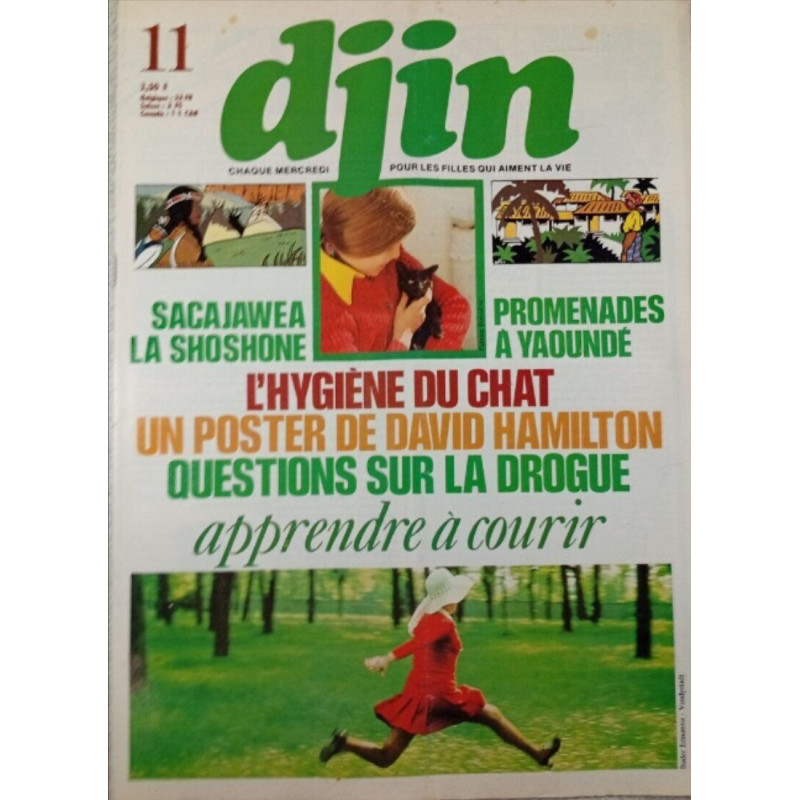 Djin n°11