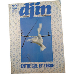 Djin n°32