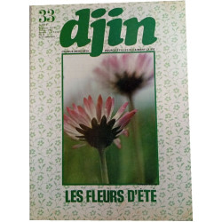 Djin n°33