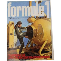 Formule 1 n°45
