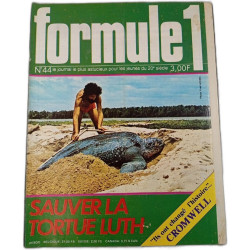 Formule 1 n°44
