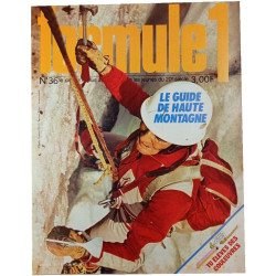 Formule 1 n°36