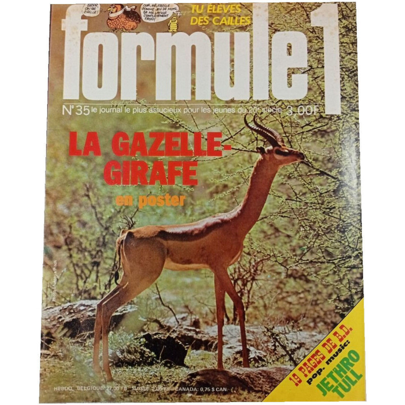 Formule 1 n°35