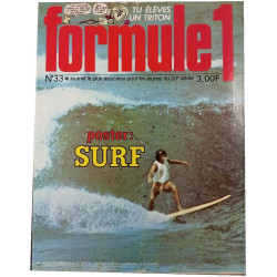 Formule 1 n°33