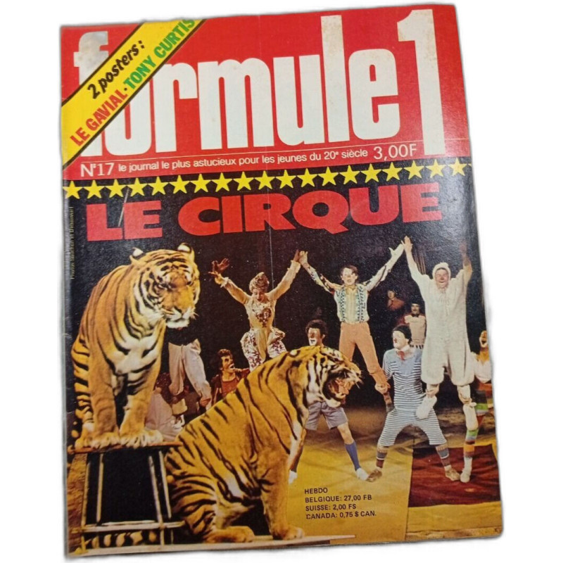 Formule 1 n°17