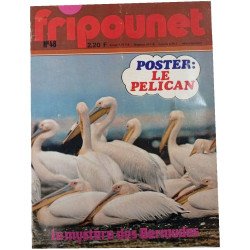 Fripounet n°48