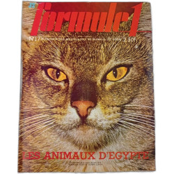 J2 Formule 1 n°17