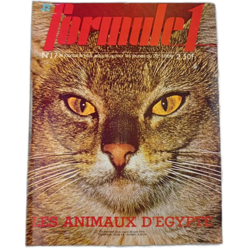 J2 Formule 1 n°17