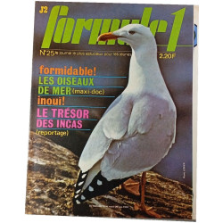 J2 Formule 1 n°25