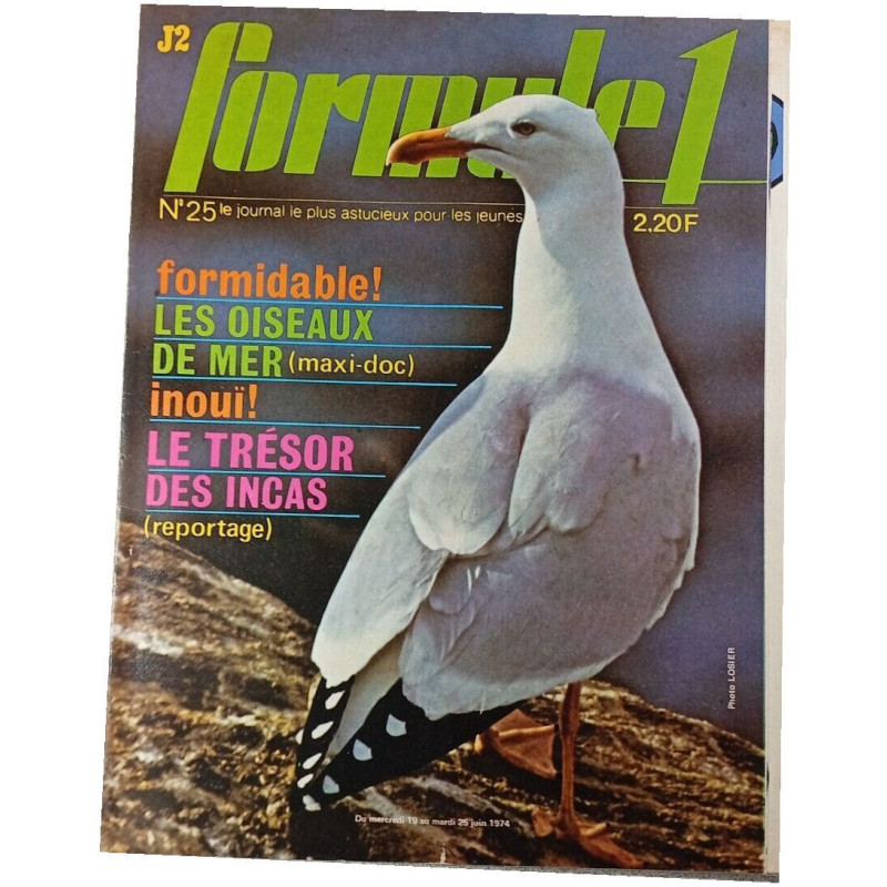 J2 Formule 1 n°25