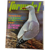 J2 Formule 1 n°25