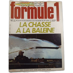 Formule 1 n°31