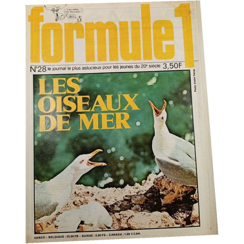 Formule 1 n°28
