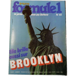 Formule 1 n°45