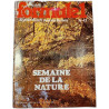 Formule 1 n°43