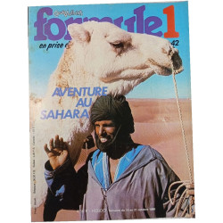 Formule 1 n°42