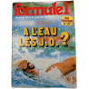 Formule 1 n°29