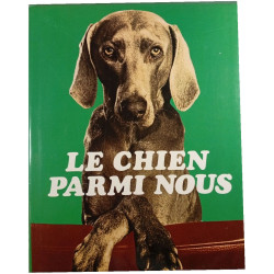 Le chien parmi nous