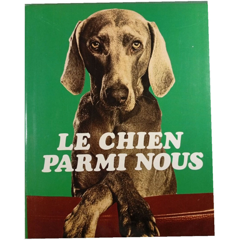 Le chien parmi nous