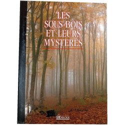 Les sous-bois et leurs mystères