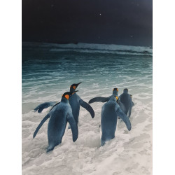 Cinquantièmes hurlants