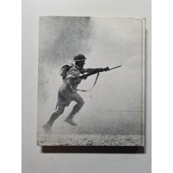 The War in the Desert