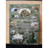 Dvd - La conquête de la Méditerranée 1940-1944