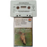 Beethoven Sonatas