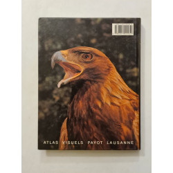 L'aigle royal