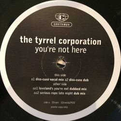 You're Not Here - The Mixes