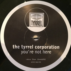 You're Not Here - The Mixes