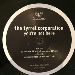 You're Not Here - The Mixes